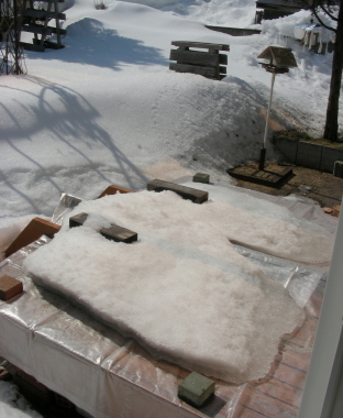 2017-03-15dekki (1).JPG