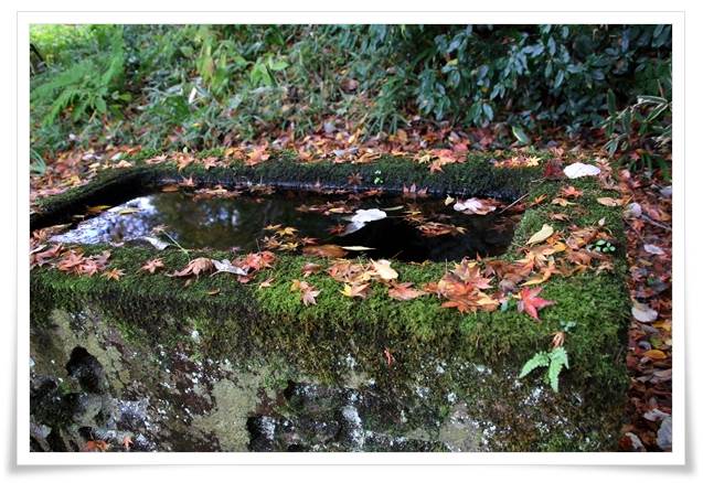 卯辰山三社-2 手水鉢-1 15.11.16