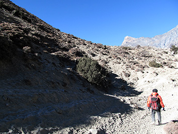 b  IMG_0048.jpg