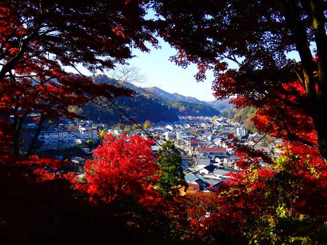 DSC08167_R.JPG
