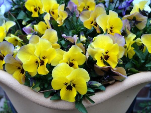 rblog-20140319210303-01.jpg