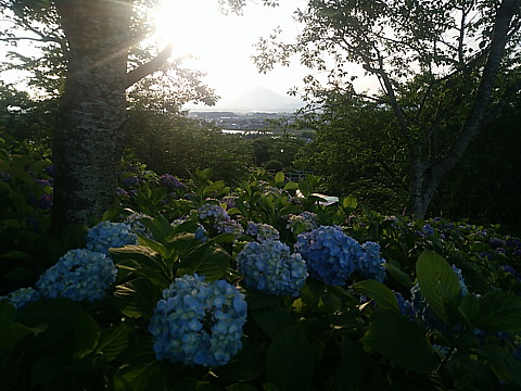 IMG_20160602_181740.jpg