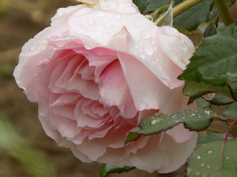 DSCN3149.JPG