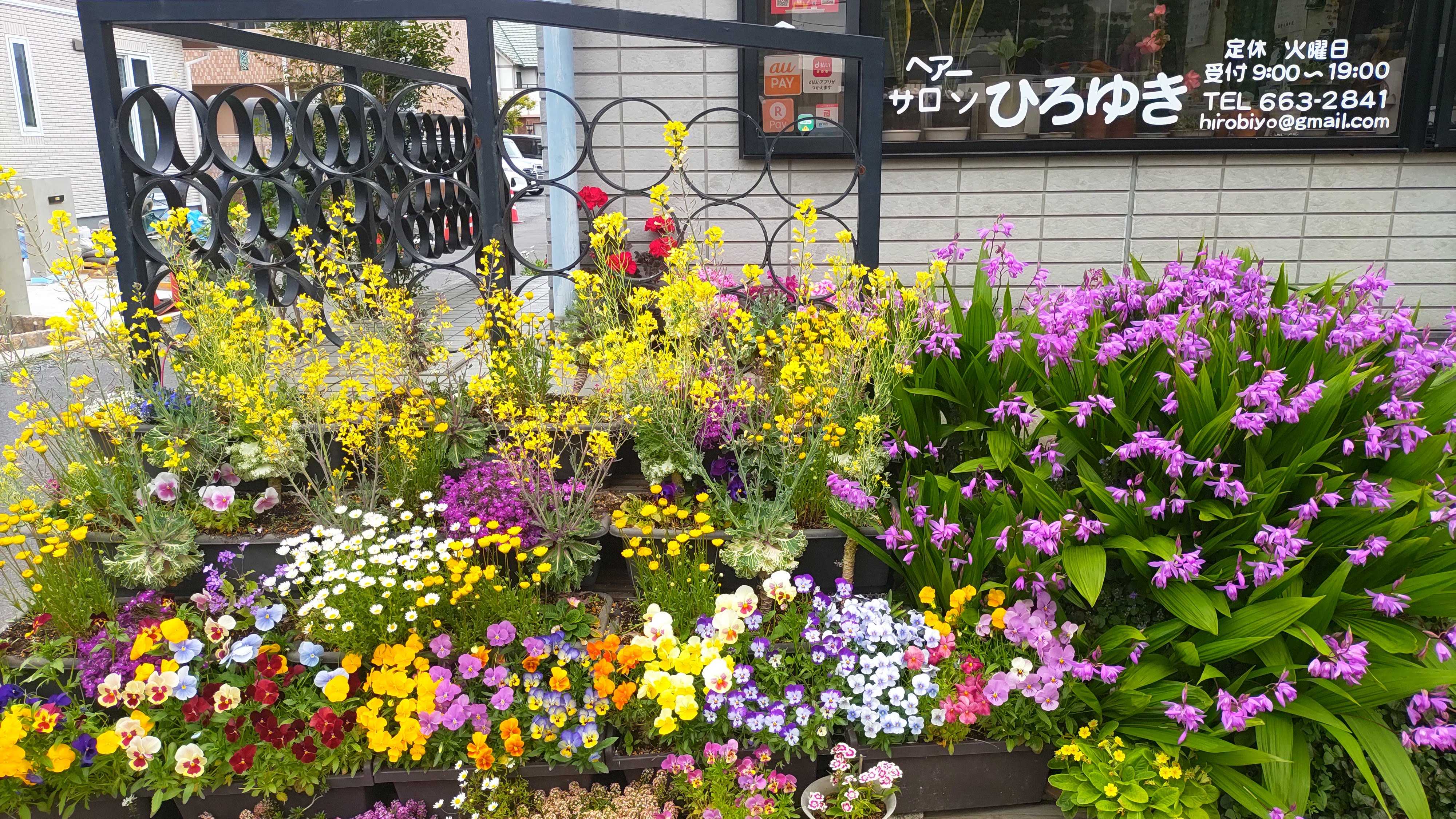 21年5月7日 店舗花壇写真 ひろゆき美容室へようこそ 楽天ブログ