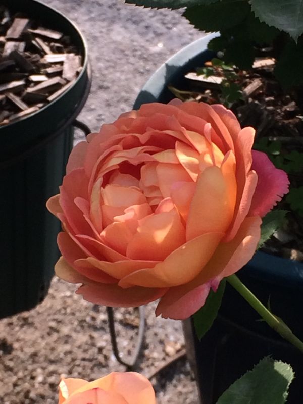 rblog-20140519110311-02.jpg