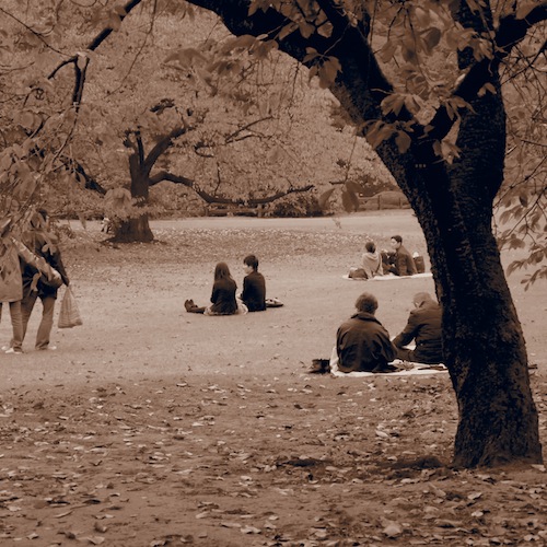006.JPG