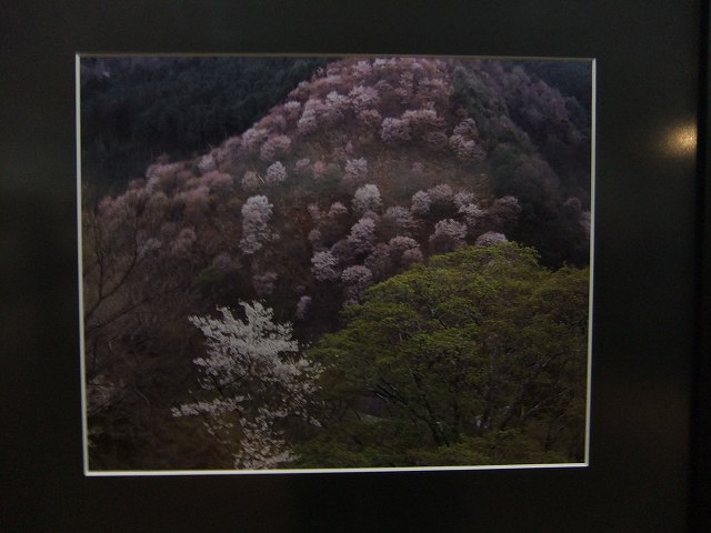 DSCF0961.jpg