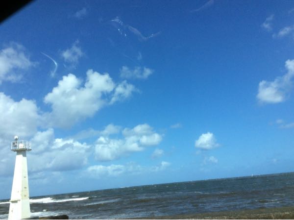 rblog-20190128211835-01.jpg