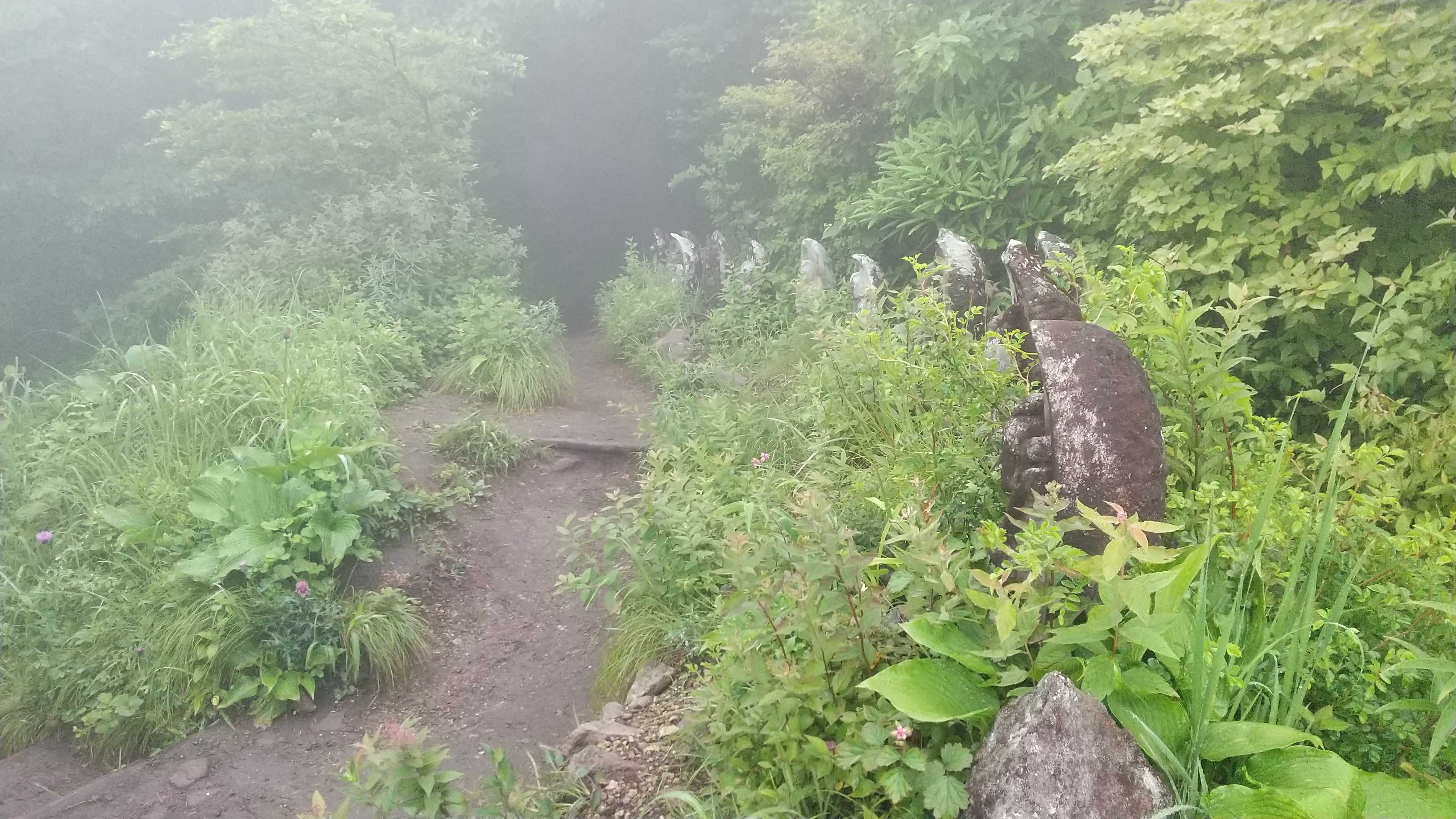 水沢山登山2327回目(144) | 4chanの部屋 - 楽天ブログ