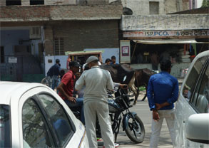 インド814.jpg