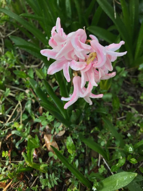 rblog-20180326193404-01.jpg