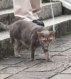 DSC_1364-23.jpg