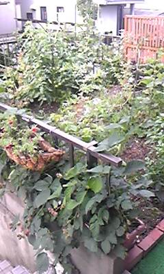 120622_074234.jpg