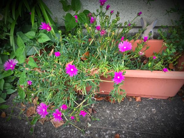 rblog-20160627195701-06.jpg