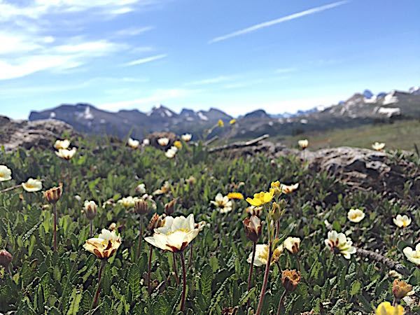 rblog-20180720204520-01.jpg