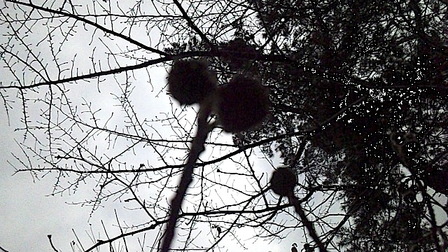 120222_130917.jpg