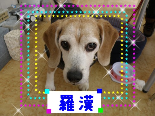 羅漢.JPG