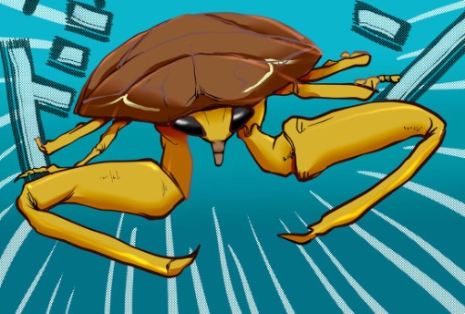 ﾀｶﾞﾒ.jpg