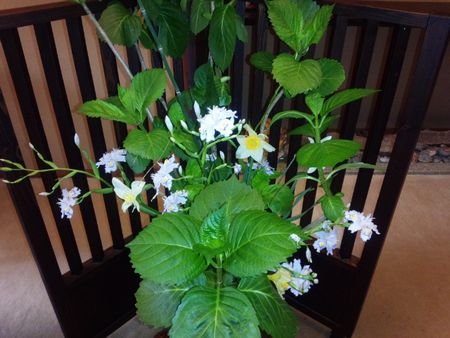 IMG_20150424_172832-p.jpg
