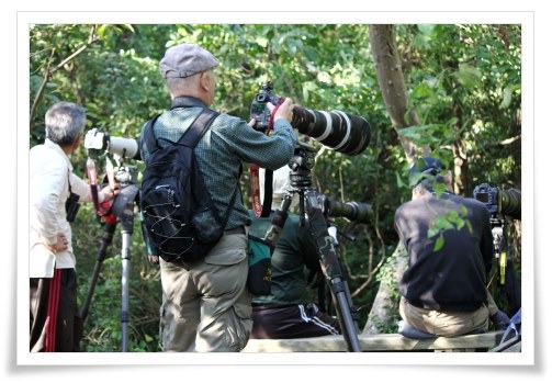 健民海浜公園-8 野鳥を撮る人たち 13.10.13