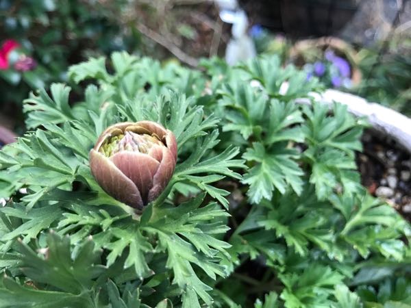 rblog-20170223222747-05.jpg