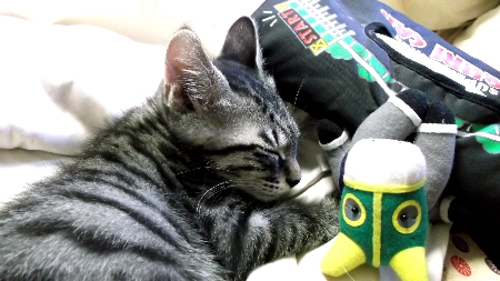 すずひめ　VS　オグリキャップ　8月31日.jpg