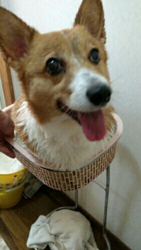 rblog-20161029212745-01.jpg