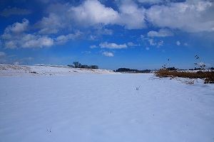 IMG_9972.jpg