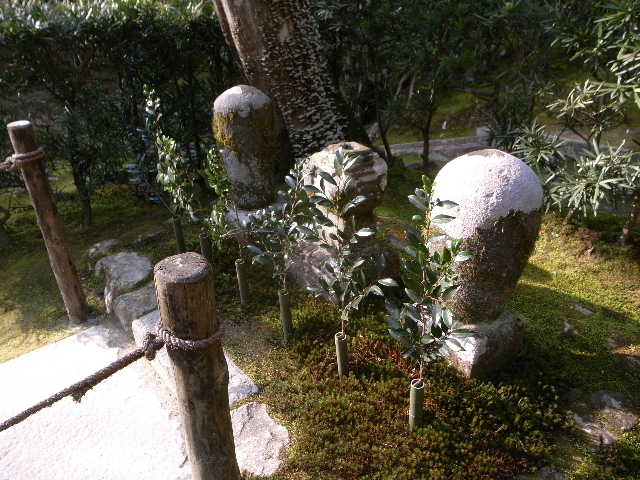 RIMG12981.JPG