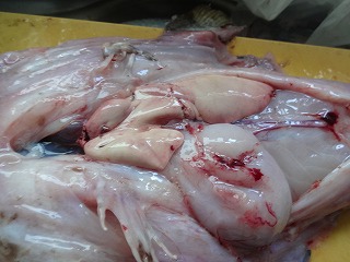 2012-06-24 10.34.41.jpg