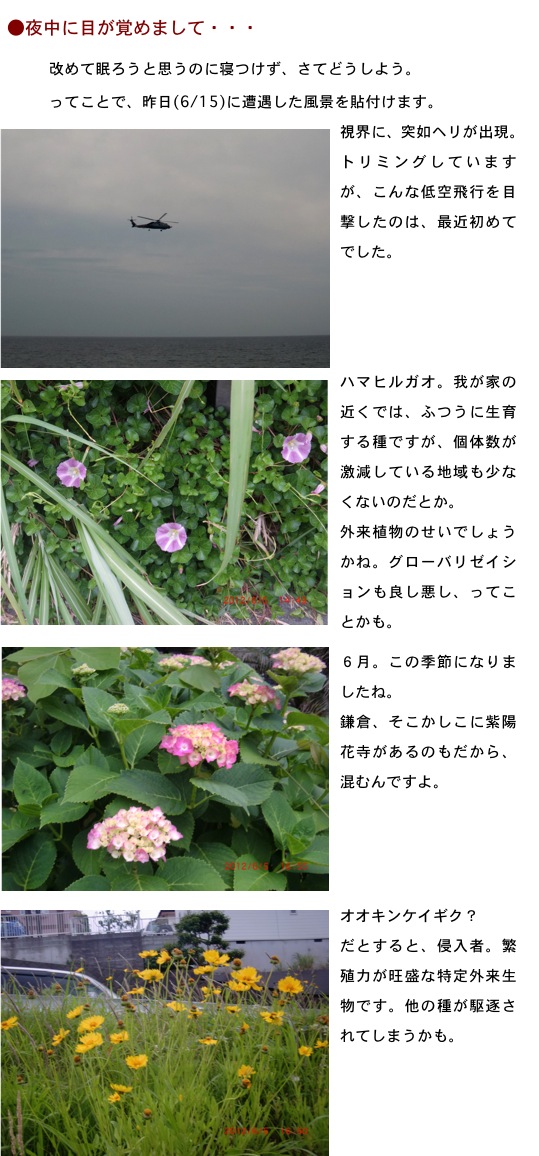 2012.06.05-1.jpg