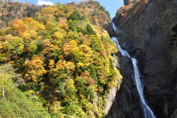 称名滝の紅葉