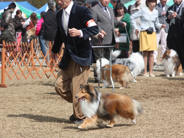 IMG_1102 - コピー.JPG