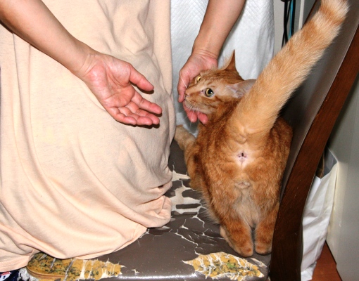 20150913ﾛﾝ02.jpg