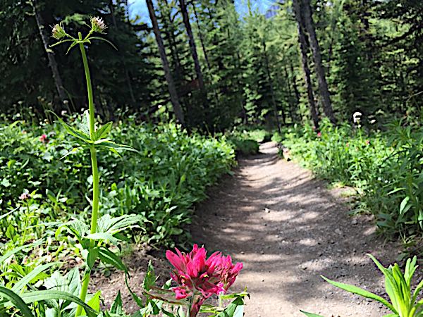 rblog-20180722220922-01.jpg