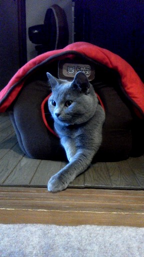 20131101132841.jpg