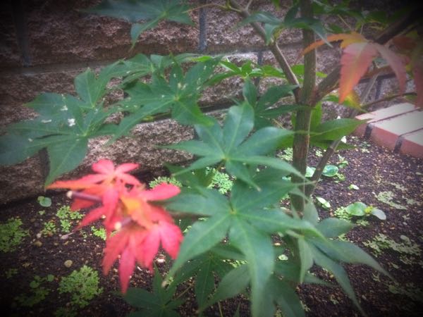 rblog-20170921184208-01.jpg