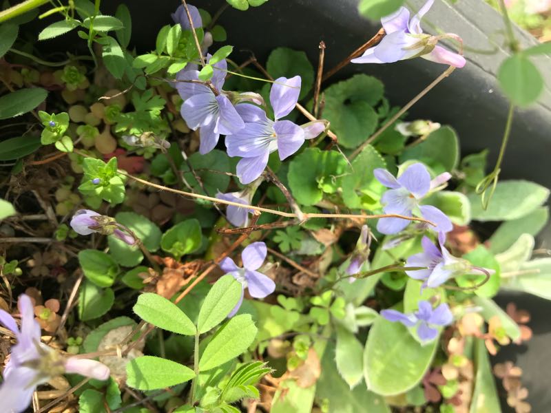 rblog-20180326193240-06.jpg