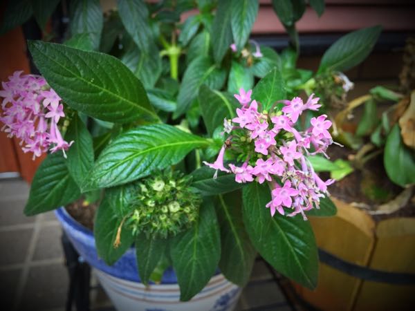 rblog-20150826083145-03.jpg