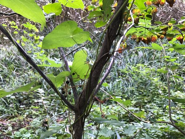 rblog-20170929122818-03.jpg