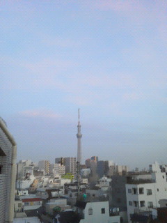 201208300459001.jpg