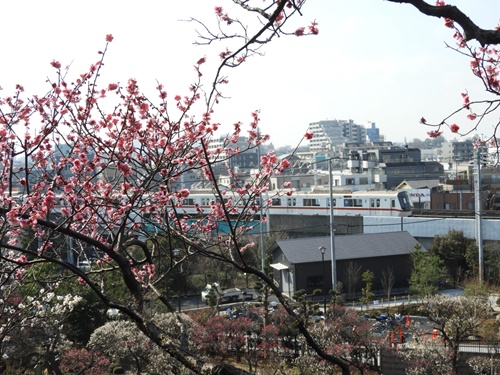 池上梅園