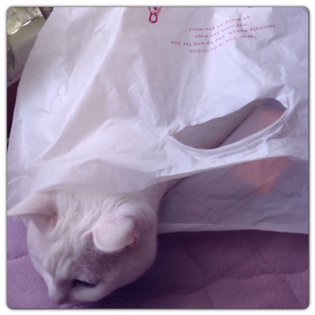 rblog-20130331122347-03.jpg