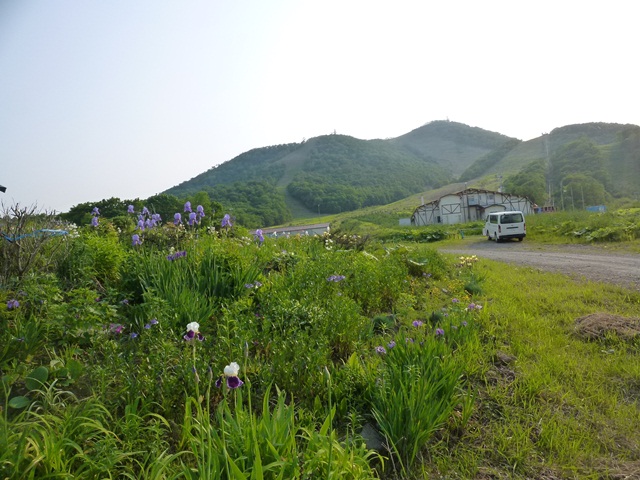 女満別から釧路へ animal 編