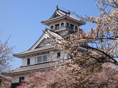 ２０１３年４月　長浜城の桜.jpg