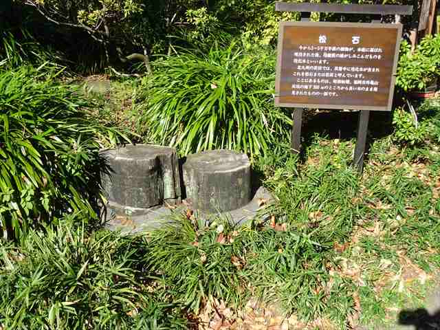 DSC07540_R.JPG