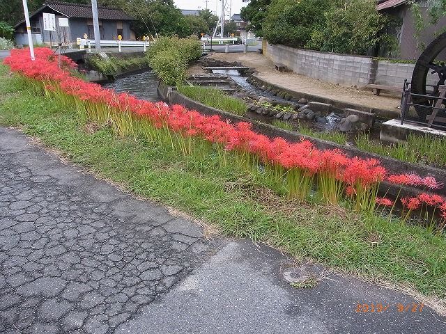 水路側道