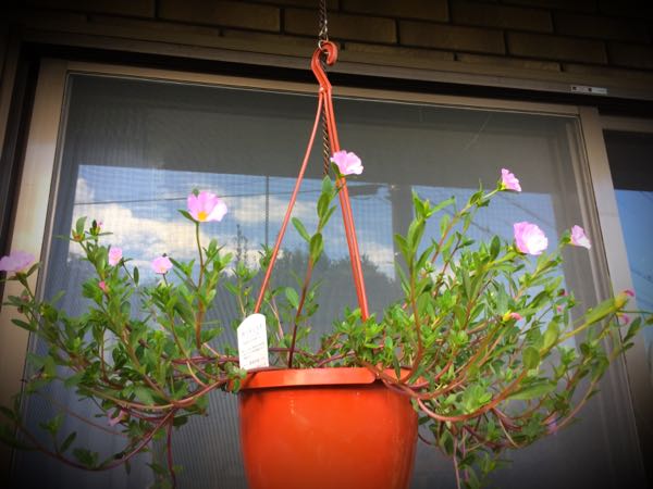 rblog-20160731173757-08.jpg