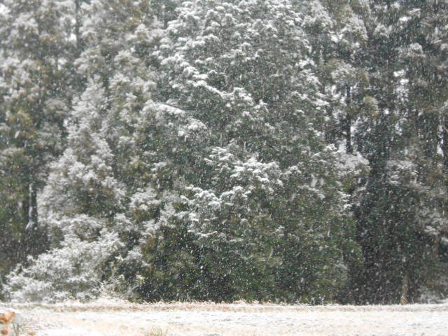 DSCN0873.JPG