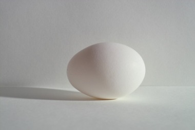 tamago.jpg